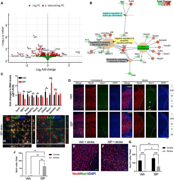 https://cdn.ncbi.nlm.nih.gov/pmc/blobs/1dd5/9677607/410eba2a7cd1/nihms-1829254-f0006.jpg