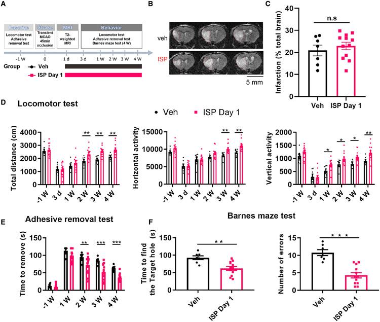 https://cdn.ncbi.nlm.nih.gov/pmc/blobs/1dd5/9677607/dbf2861cd383/nihms-1829254-f0007.jpg