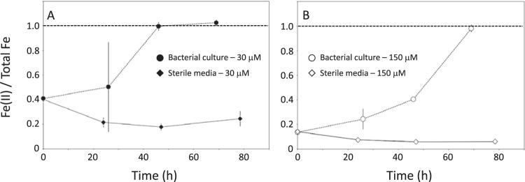https://cdn.ncbi.nlm.nih.gov/pmc/blobs/1dd6/7642088/0bdaec433f21/AEM.01278-20-f0004.jpg
