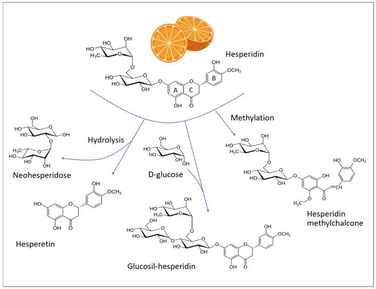 https://cdn.ncbi.nlm.nih.gov/pmc/blobs/1dd8/12291662/0d723c0f1ea9/antioxidants-14-00788-g007.jpg