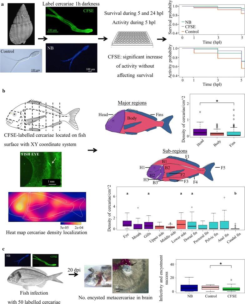 https://cdn.ncbi.nlm.nih.gov/pmc/blobs/1dd8/6417200/3f53d5f8e042/13071_2019_3351_Fig1_HTML.jpg