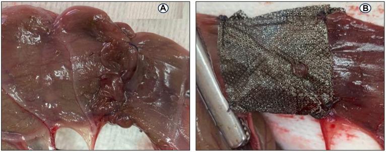 https://cdn.ncbi.nlm.nih.gov/pmc/blobs/1dd9/10925632/596e840284af/fvets-11-1264414-g003.jpg
