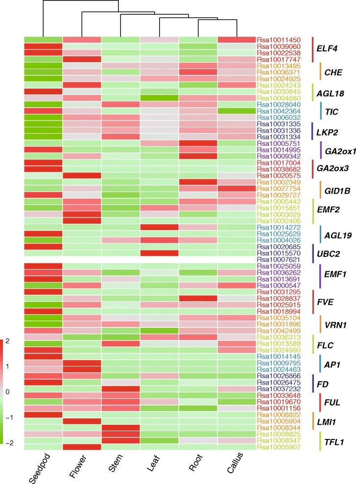 https://cdn.ncbi.nlm.nih.gov/pmc/blobs/1dd9/5738175/89bdb9b5565b/12864_2017_4377_Fig5_HTML.jpg
