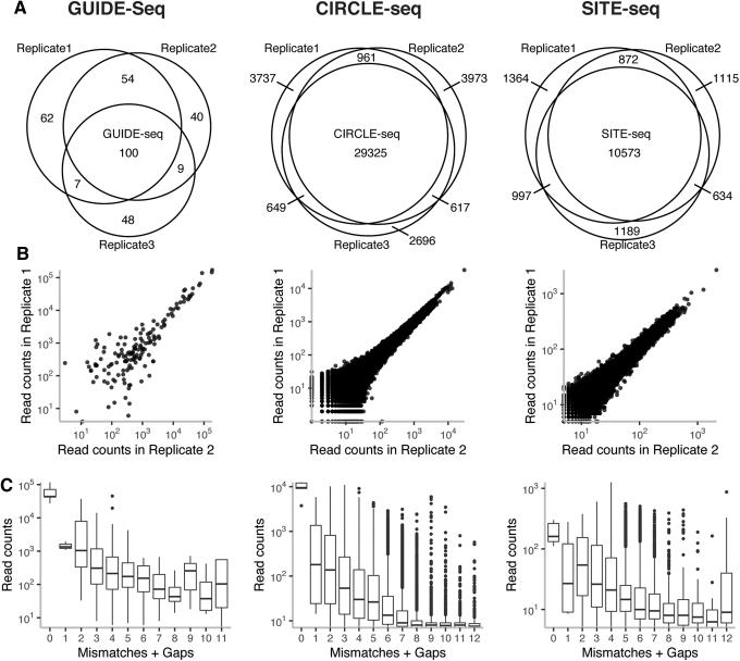 https://cdn.ncbi.nlm.nih.gov/pmc/blobs/1dd9/7757695/94960412d90b/crispr.2020.0053_figure1.jpg