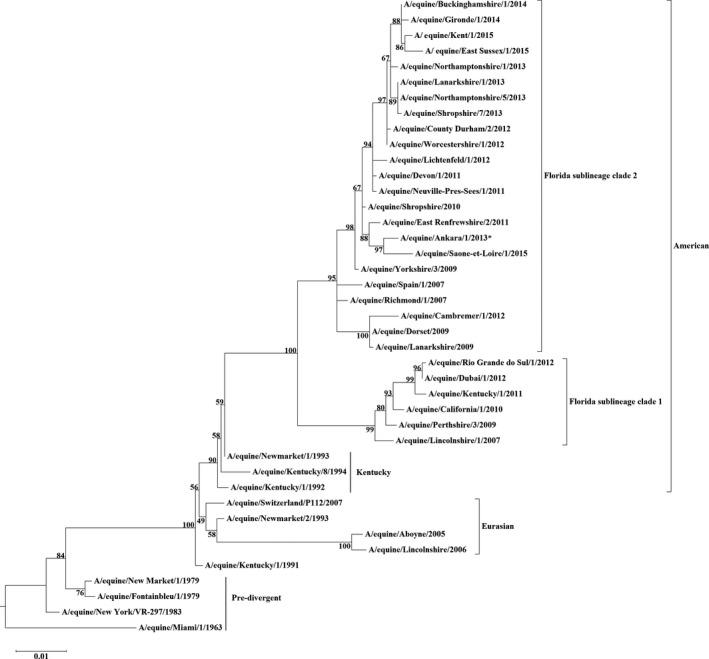 https://cdn.ncbi.nlm.nih.gov/pmc/blobs/1dda/5907808/957200ca0848/IRV-12-374-g002.jpg