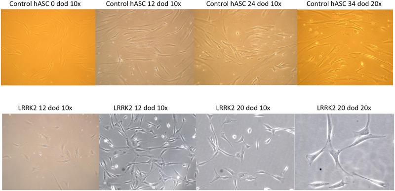 https://cdn.ncbi.nlm.nih.gov/pmc/blobs/1dda/8923468/c9291a6c09c5/pone.0265256.g002.jpg