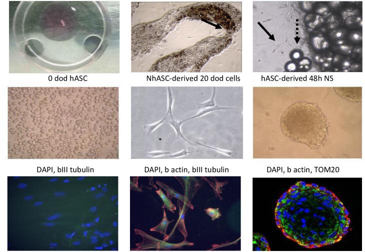 https://cdn.ncbi.nlm.nih.gov/pmc/blobs/1dda/8923468/f37bec27369d/pone.0265256.g001.jpg