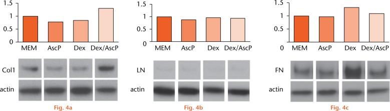 https://cdn.ncbi.nlm.nih.gov/pmc/blobs/1ddb/5131089/e2d30dd9f4d4/bonejointres-05-569-g004.jpg