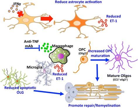 https://cdn.ncbi.nlm.nih.gov/pmc/blobs/1dde/5916830/2465ded0da47/12974_2018_1164_Fig8_HTML.jpg