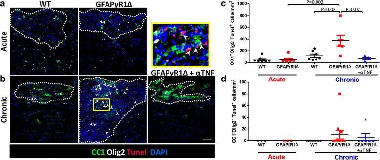 https://cdn.ncbi.nlm.nih.gov/pmc/blobs/1dde/5916830/34e2e2a9cc68/12974_2018_1164_Fig2_HTML.jpg
