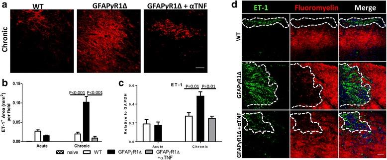 https://cdn.ncbi.nlm.nih.gov/pmc/blobs/1dde/5916830/4062dc5237e0/12974_2018_1164_Fig5_HTML.jpg