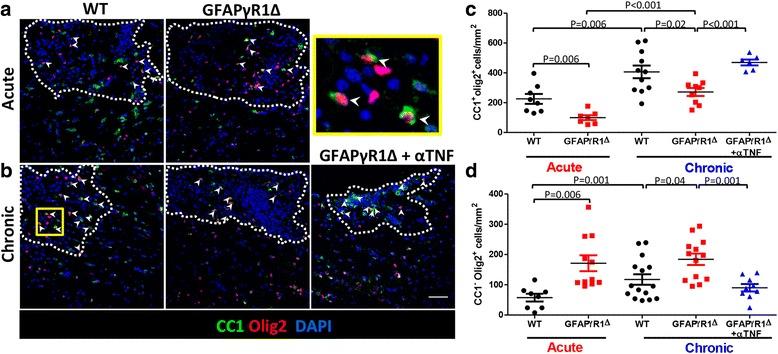 https://cdn.ncbi.nlm.nih.gov/pmc/blobs/1dde/5916830/dec7cf9b2b2e/12974_2018_1164_Fig3_HTML.jpg