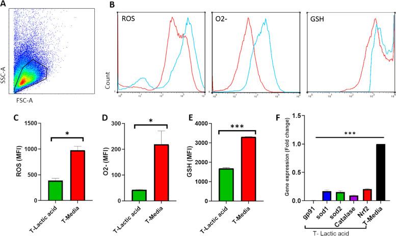 https://cdn.ncbi.nlm.nih.gov/pmc/blobs/1dde/8734242/2b07e08646da/12885_2021_9151_Fig2_HTML.jpg