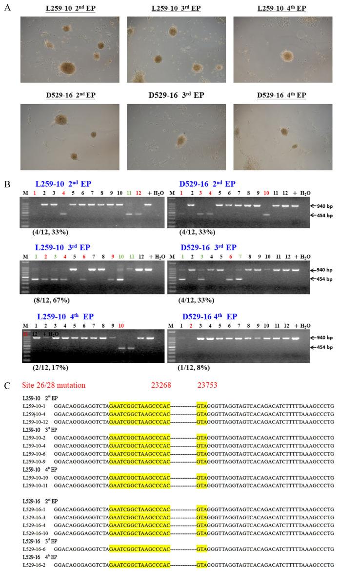https://cdn.ncbi.nlm.nih.gov/pmc/blobs/1dde/9899582/abf744f4332a/ab-22-0389f2.jpg