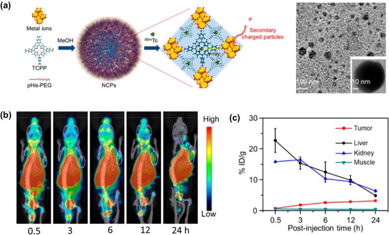 https://cdn.ncbi.nlm.nih.gov/pmc/blobs/1de0/9509633/6e46d4c35097/12951_2022_1631_Fig17_HTML.jpg