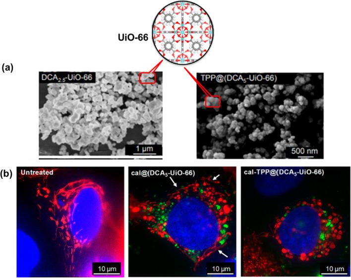 https://cdn.ncbi.nlm.nih.gov/pmc/blobs/1de0/9509633/70630494ee4c/12951_2022_1631_Fig7_HTML.jpg