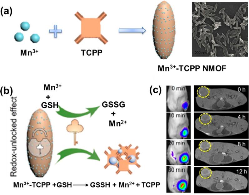 https://cdn.ncbi.nlm.nih.gov/pmc/blobs/1de0/9509633/a0ab87ca8fd7/12951_2022_1631_Fig3_HTML.jpg