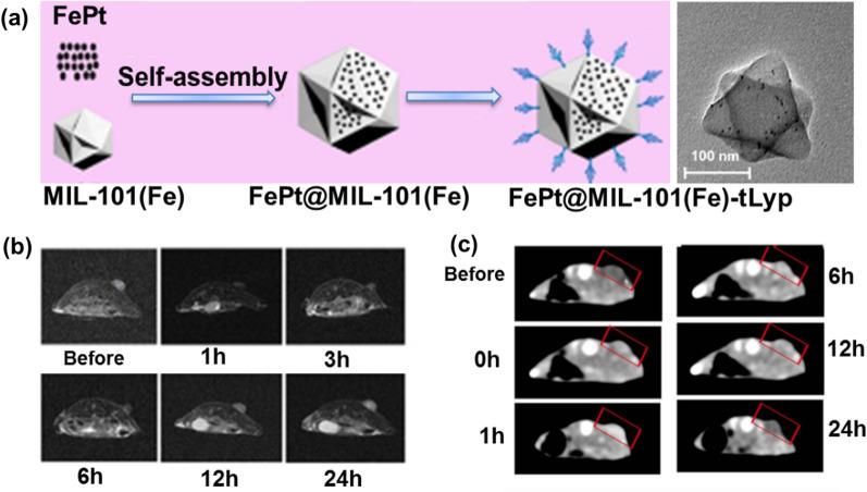 https://cdn.ncbi.nlm.nih.gov/pmc/blobs/1de0/9509633/e4a60eb68f0b/12951_2022_1631_Fig4_HTML.jpg