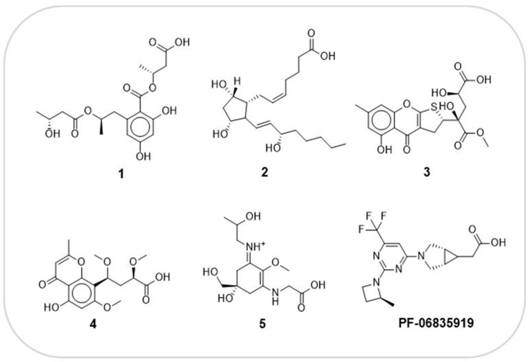 https://cdn.ncbi.nlm.nih.gov/pmc/blobs/1de2/11509851/163a7aaf0681/marinedrugs-22-00455-g005.jpg