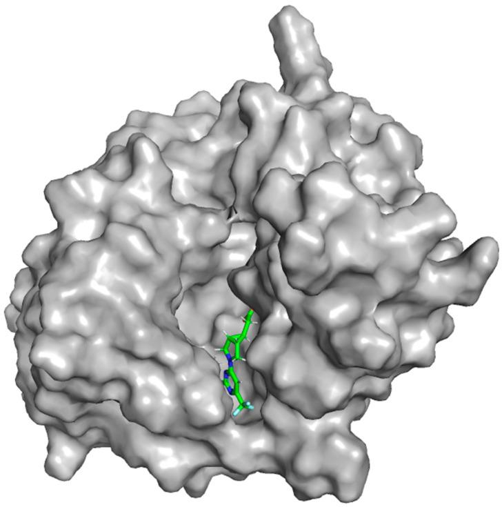 https://cdn.ncbi.nlm.nih.gov/pmc/blobs/1de2/11509851/818e4910121a/marinedrugs-22-00455-g012.jpg