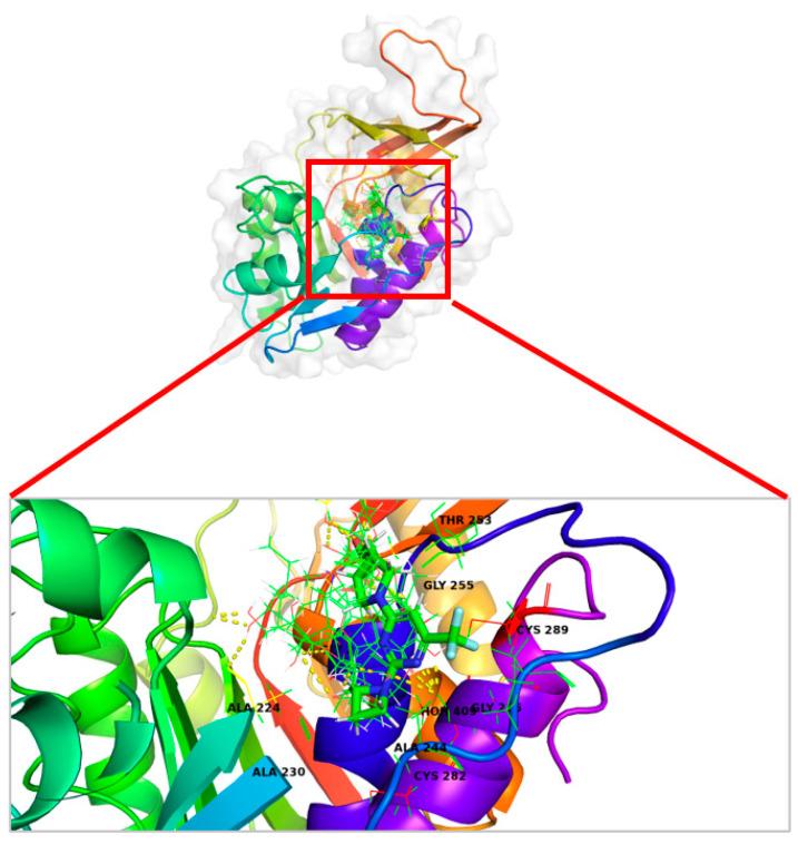 https://cdn.ncbi.nlm.nih.gov/pmc/blobs/1de2/11509851/aa386527bd01/marinedrugs-22-00455-g007.jpg