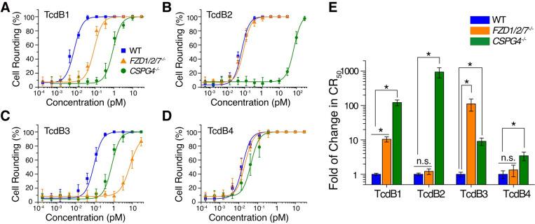 https://cdn.ncbi.nlm.nih.gov/pmc/blobs/1de2/7842947/a73e50e441b6/ppat.1009197.g001.jpg