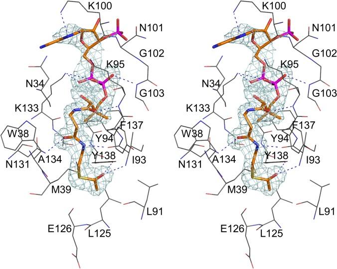 https://cdn.ncbi.nlm.nih.gov/pmc/blobs/1de3/4363471/30ed6f73d6e2/pone.0115634.g004.jpg
