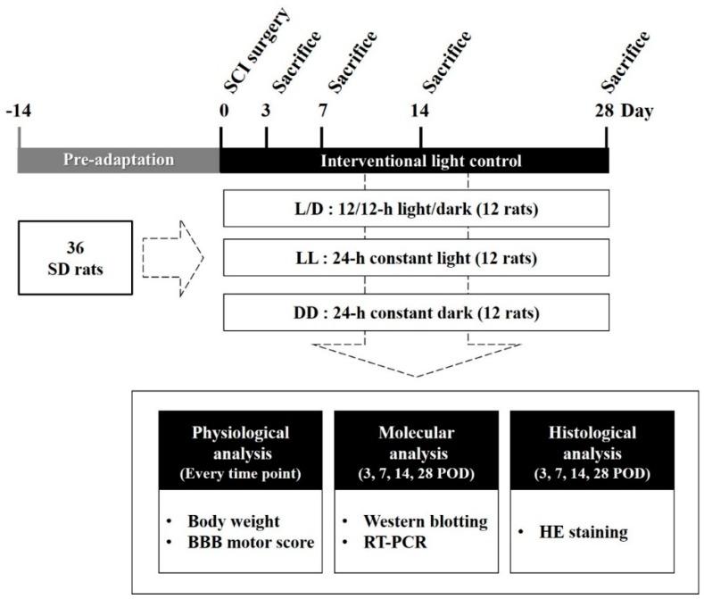 https://cdn.ncbi.nlm.nih.gov/pmc/blobs/1de5/6406284/4bc065d854cb/jcm-08-00135-g001.jpg