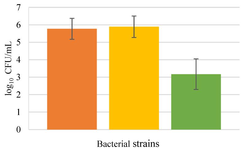 https://cdn.ncbi.nlm.nih.gov/pmc/blobs/1de7/9495785/b43b8dccea19/biology-11-01372-g002.jpg