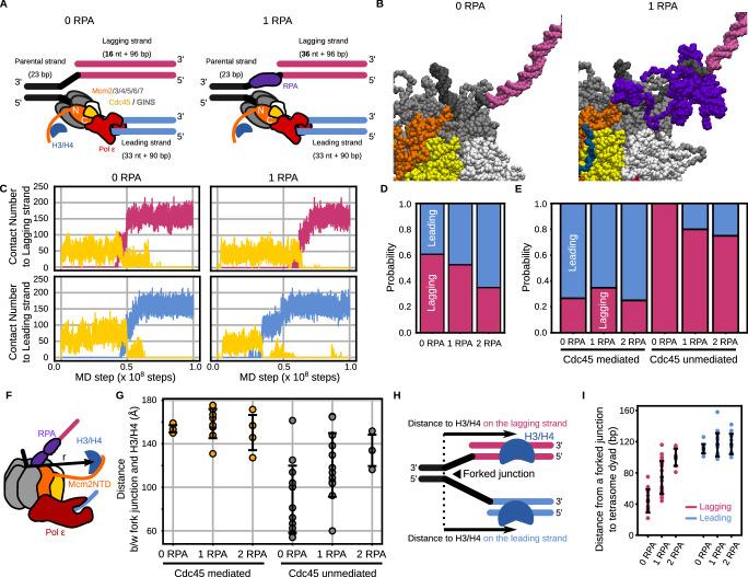 https://cdn.ncbi.nlm.nih.gov/pmc/blobs/1de8/11531469/09b67e2d751e/41467_2024_53187_Fig4_HTML.jpg