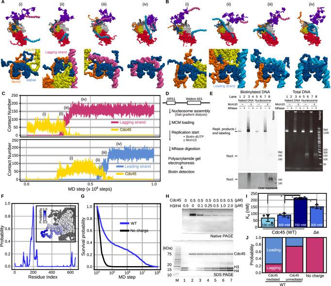 https://cdn.ncbi.nlm.nih.gov/pmc/blobs/1de8/11531469/f0c638ab52ff/41467_2024_53187_Fig2_HTML.jpg