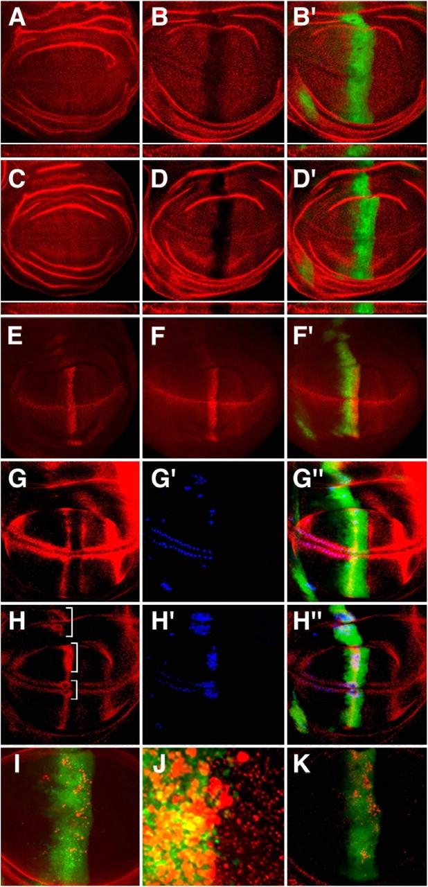 https://cdn.ncbi.nlm.nih.gov/pmc/blobs/1ded/2172002/491c62b06d56/200403077f6.jpg