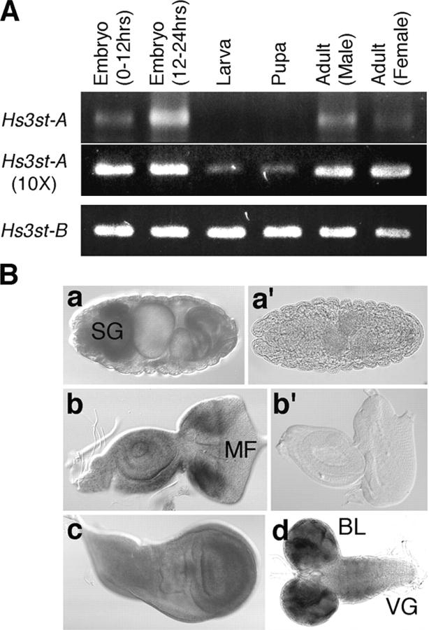 https://cdn.ncbi.nlm.nih.gov/pmc/blobs/1ded/2172002/6abbe80e8e0d/200403077f2.jpg