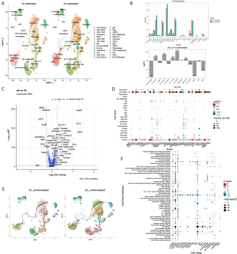 https://cdn.ncbi.nlm.nih.gov/pmc/blobs/1dee/11166937/57c07a0daf09/41467_2023_42013_Fig1_HTML.jpg