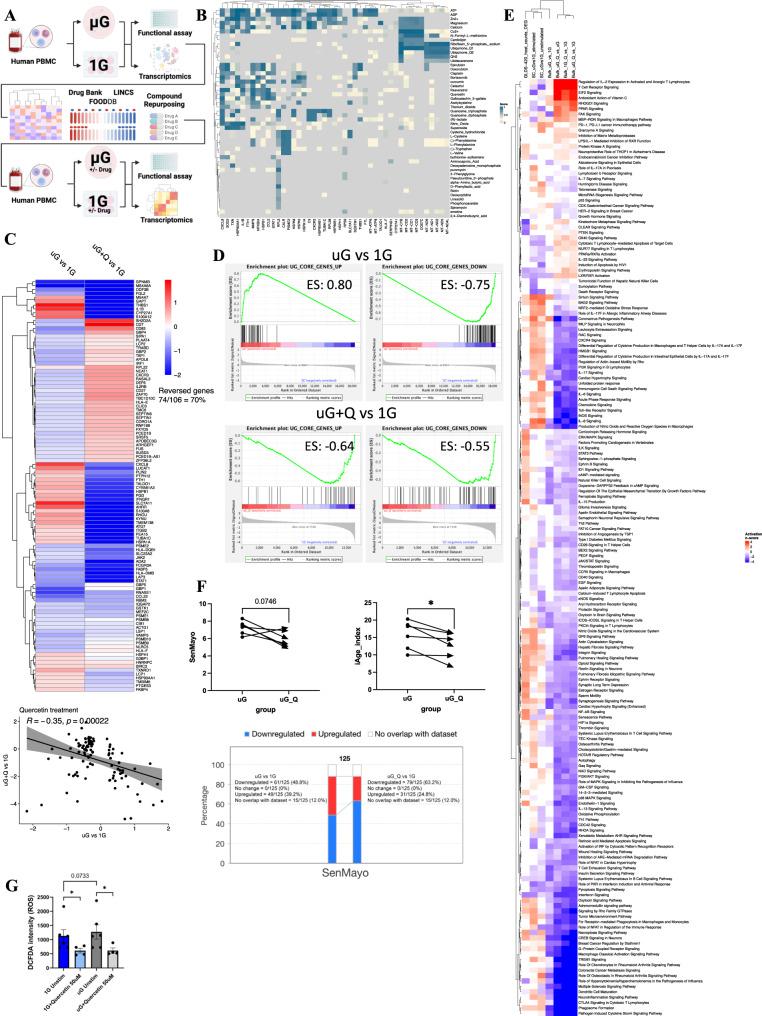 https://cdn.ncbi.nlm.nih.gov/pmc/blobs/1dee/11166937/d609c6ed9f37/41467_2023_42013_Fig7_HTML.jpg