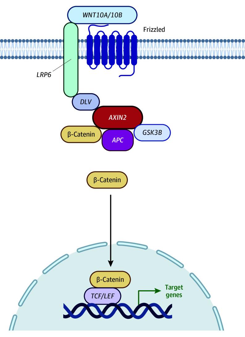 https://cdn.ncbi.nlm.nih.gov/pmc/blobs/1df0/10943407/1de9fd23c096/jamanetwopen-e240365-g001.jpg