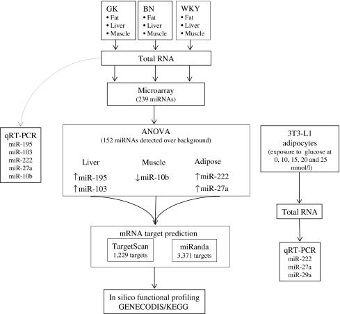 https://cdn.ncbi.nlm.nih.gov/pmc/blobs/1df0/2860560/025dad42244e/125_2010_1667_Fig1_HTML.jpg