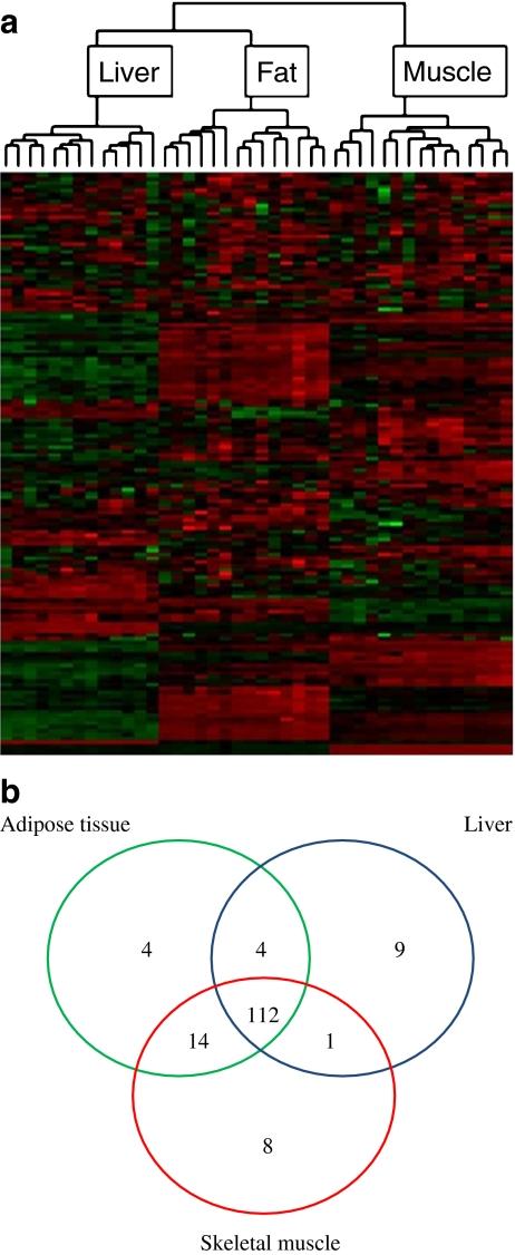 https://cdn.ncbi.nlm.nih.gov/pmc/blobs/1df0/2860560/16a8df882530/125_2010_1667_Fig2_HTML.jpg