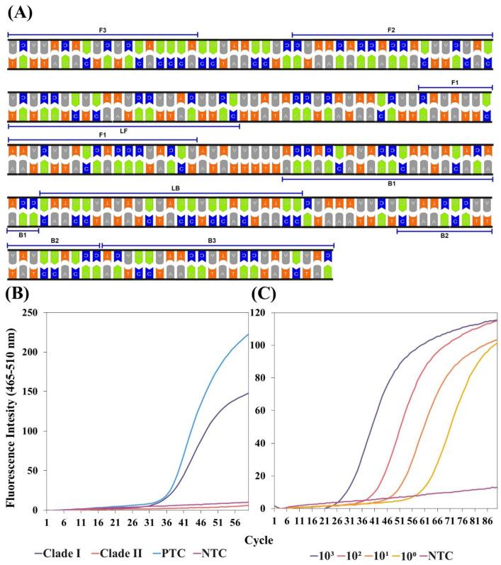 https://cdn.ncbi.nlm.nih.gov/pmc/blobs/1df6/11764415/df74860a4ba2/biosensors-15-00023-g002.jpg