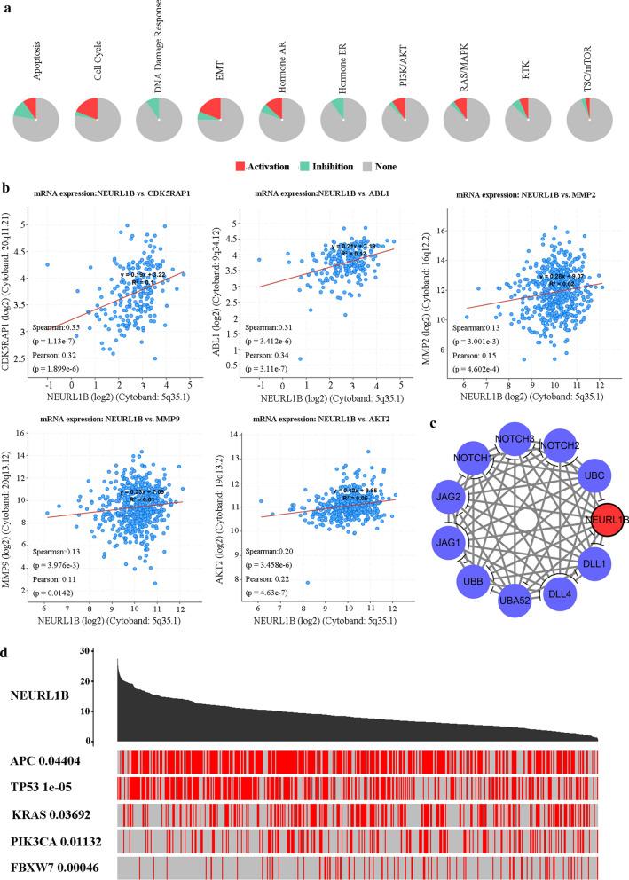 https://cdn.ncbi.nlm.nih.gov/pmc/blobs/1df6/7385960/8db9242c987a/12935_2020_1379_Fig5_HTML.jpg