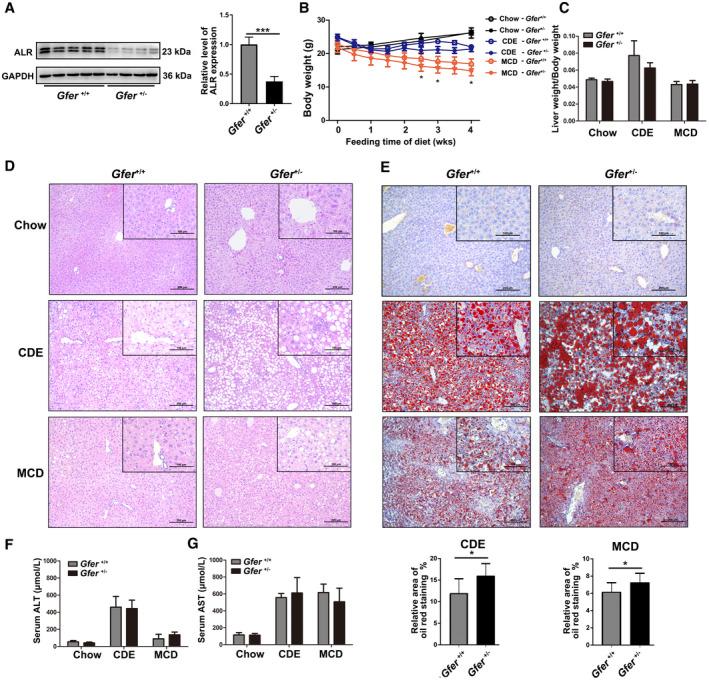 https://cdn.ncbi.nlm.nih.gov/pmc/blobs/1df6/7395071/2128ab061c78/HEP4-4-1149-g001.jpg
