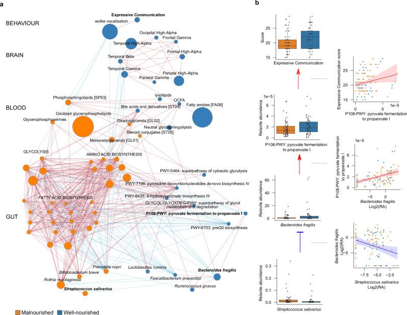 https://cdn.ncbi.nlm.nih.gov/pmc/blobs/1df7/11707170/980b5696bcf6/41467_2024_55798_Fig5_HTML.jpg