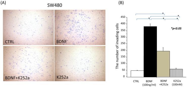 https://cdn.ncbi.nlm.nih.gov/pmc/blobs/1df9/4011754/320275dff70d/pone.0096410.g006.jpg