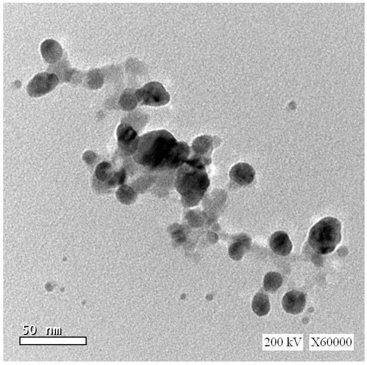 https://cdn.ncbi.nlm.nih.gov/pmc/blobs/1dfa/9266693/38d2a1d47637/ijerph-19-08171-g001.jpg