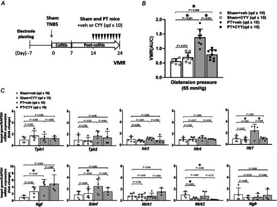 https://cdn.ncbi.nlm.nih.gov/pmc/blobs/1dfb/12400787/786394f66515/TJP-603-4723-g001.jpg