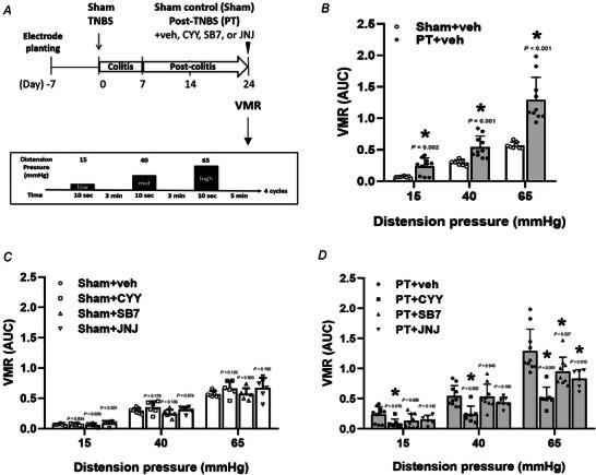https://cdn.ncbi.nlm.nih.gov/pmc/blobs/1dfb/12400787/81dc9b4e90c6/TJP-603-4723-g008.jpg