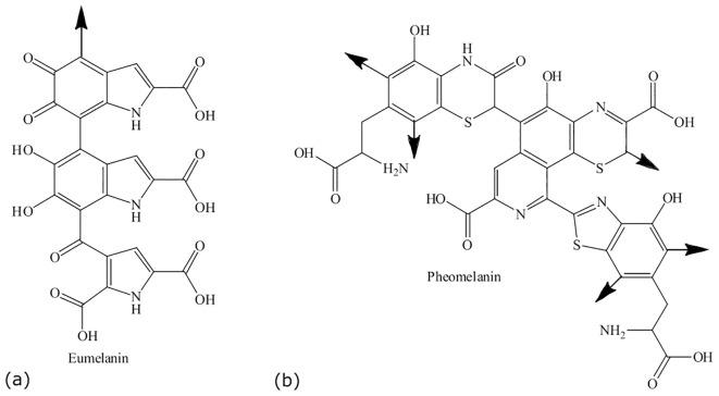 https://cdn.ncbi.nlm.nih.gov/pmc/blobs/1dfb/12426039/200711855354/ffunb-06-1621764-g002.jpg