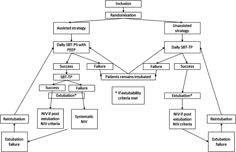 https://cdn.ncbi.nlm.nih.gov/pmc/blobs/1dfb/9743622/05e9656b1075/13063_2022_6896_Fig1_HTML.jpg