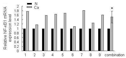 https://cdn.ncbi.nlm.nih.gov/pmc/blobs/1dfd/2835654/c7f7e1082d92/1476-4598-9-16-5.jpg