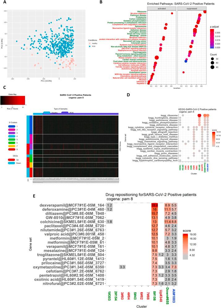 https://cdn.ncbi.nlm.nih.gov/pmc/blobs/1dfe/7683955/d2cff7bb3730/gr5_lrg.jpg